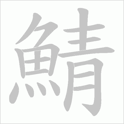 鯖字动态笔顺演示