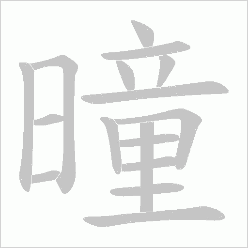 曈字动态笔顺演示