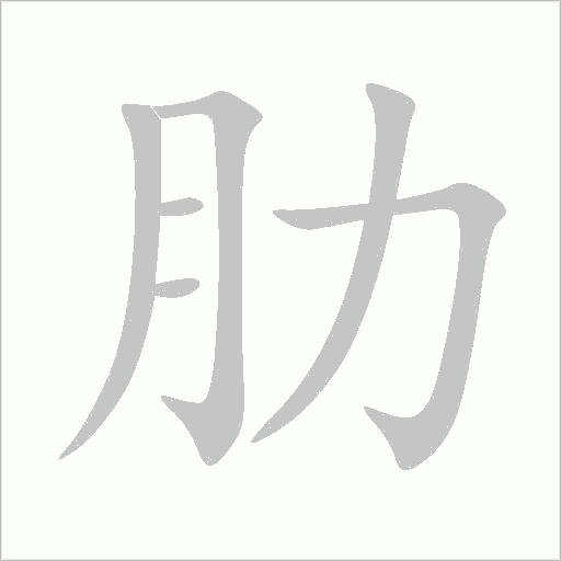 肋字动态笔顺演示