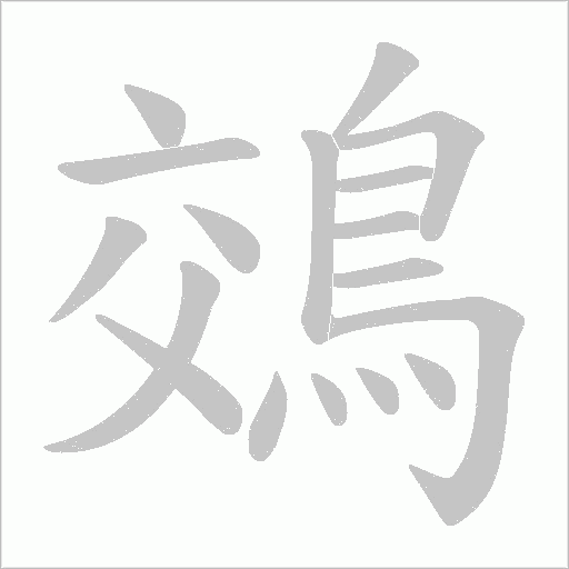 鵁字动态笔顺演示
