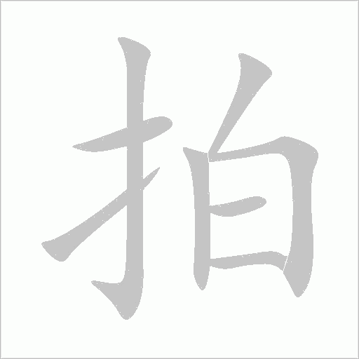 拍字动态笔顺演示