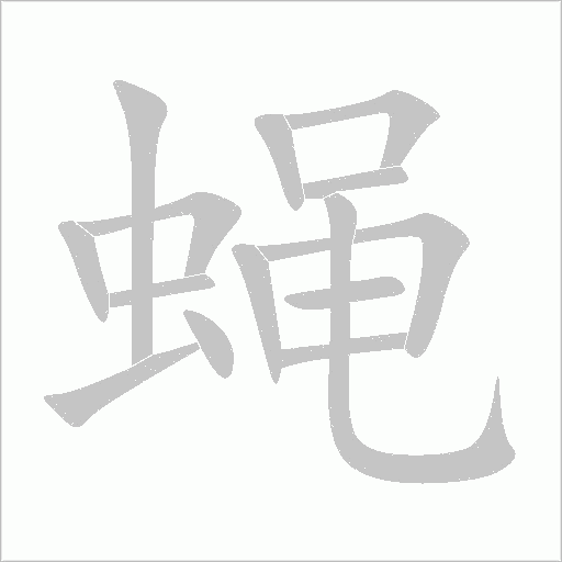 蝇字动态笔顺演示
