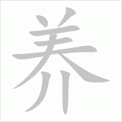 养字动态笔顺演示