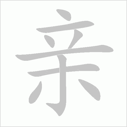 亲字动态笔顺演示