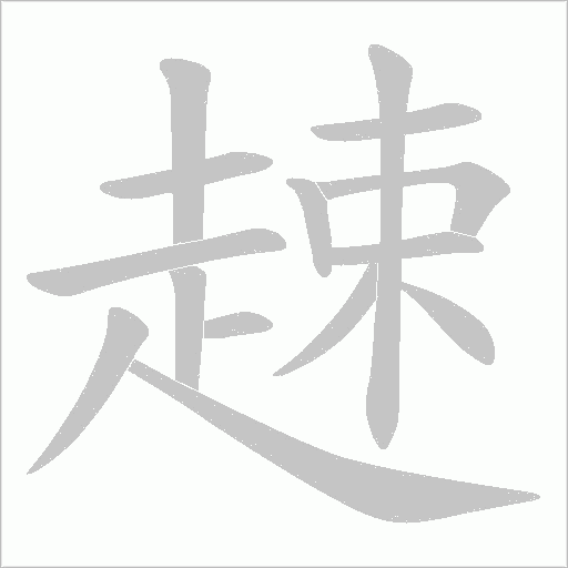 趚字动态笔顺演示