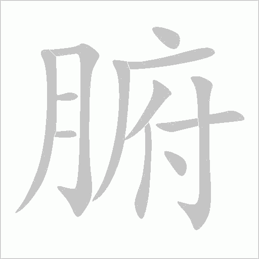 腑字动态笔顺演示