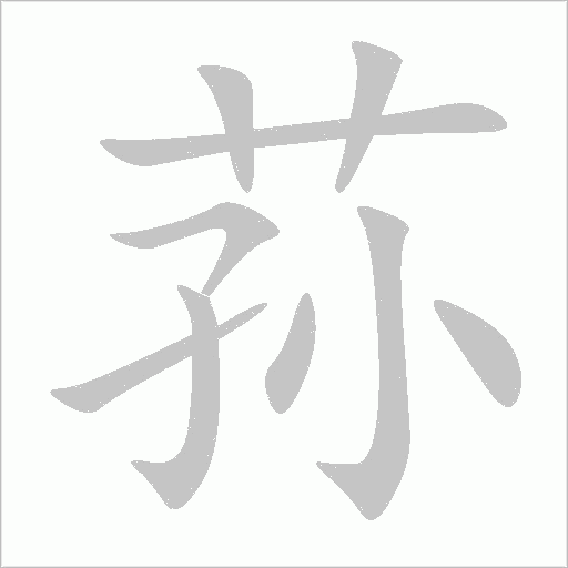 荪字动态笔顺演示