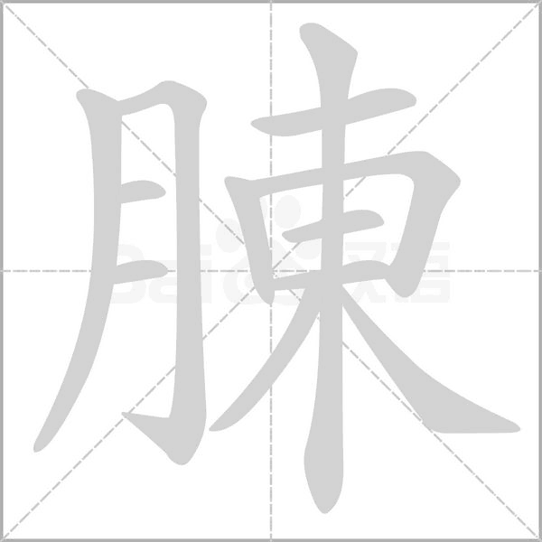 腖字动态笔顺演示