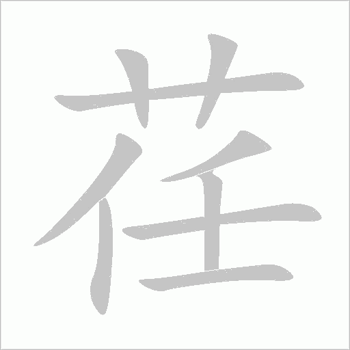 荏字动态笔顺演示