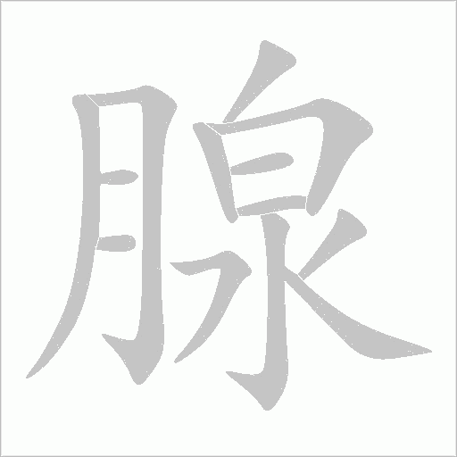 腺字动态笔顺演示