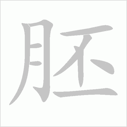 胚字动态笔顺演示