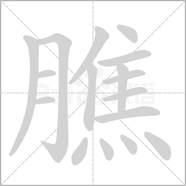 膲字动态笔顺演示