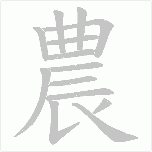 農字动态笔顺演示