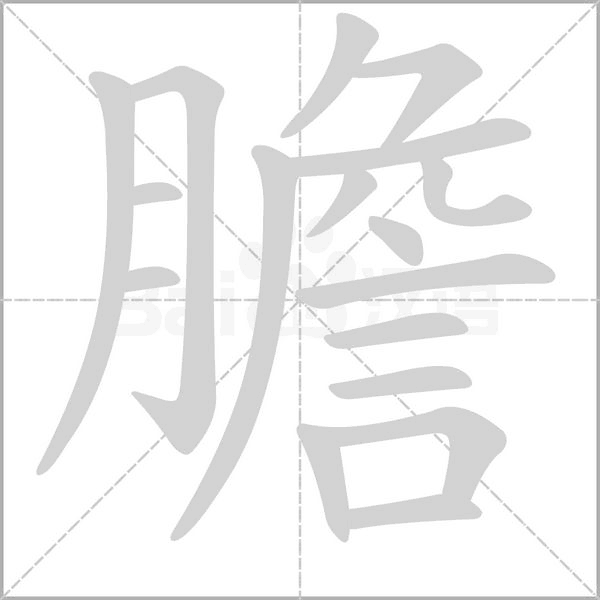 膽字动态笔顺演示