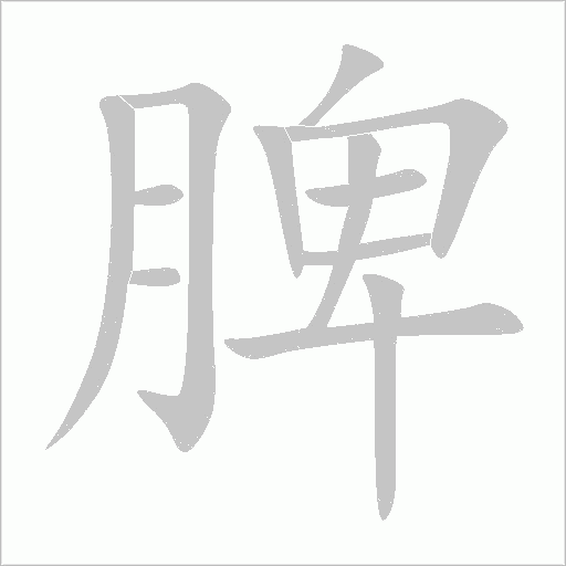 脾字动态笔顺演示