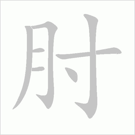 肘字动态笔顺演示