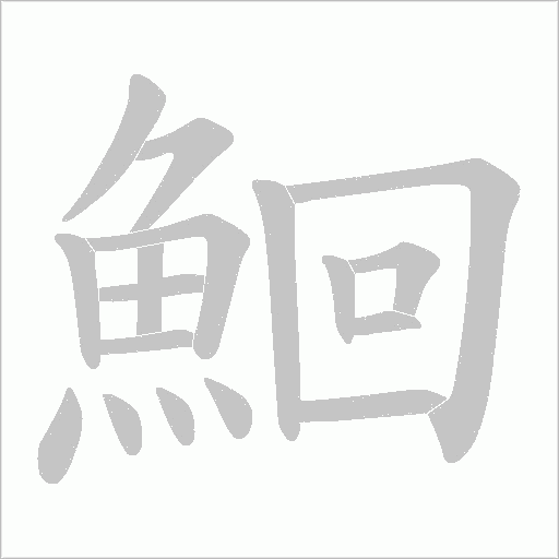 鮰字动态笔顺演示