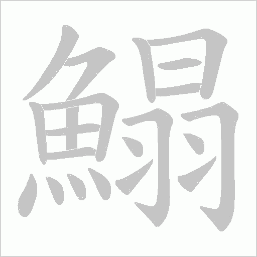 鰨字动态笔顺演示