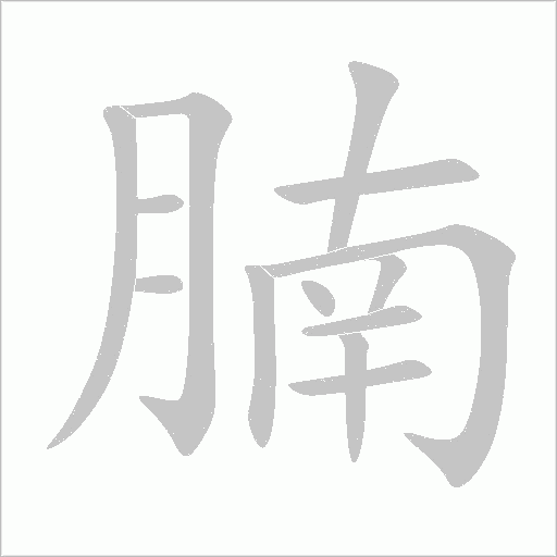 腩字动态笔顺演示