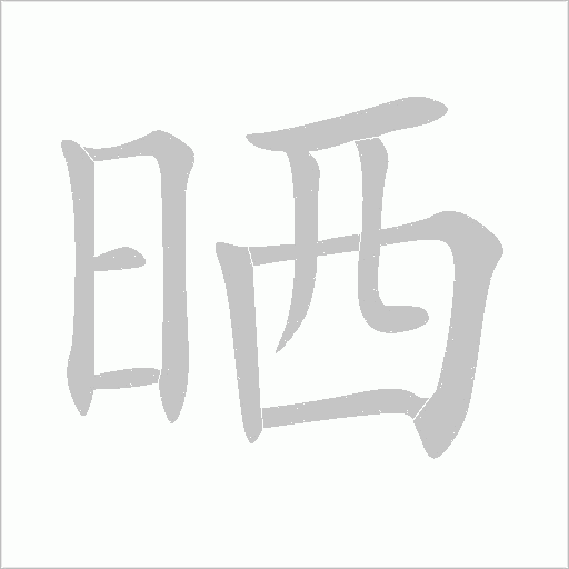 晒字动态笔顺演示
