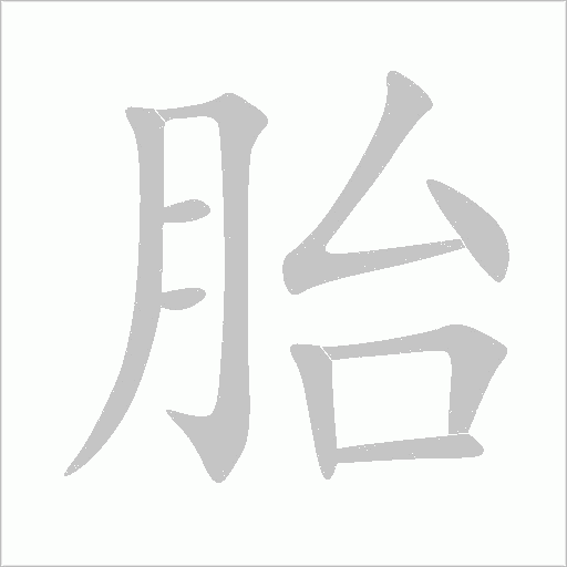 胎字动态笔顺演示