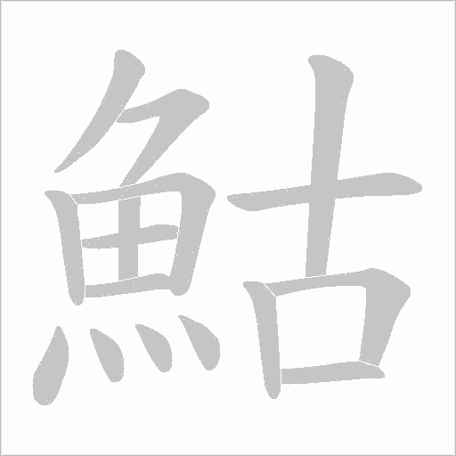 鮕字动态笔顺演示