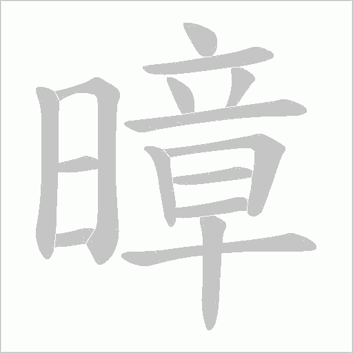 暲字动态笔顺演示