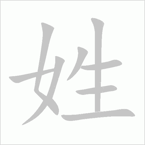 姓字动态笔顺演示