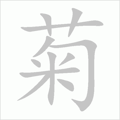 菊字动态笔顺演示