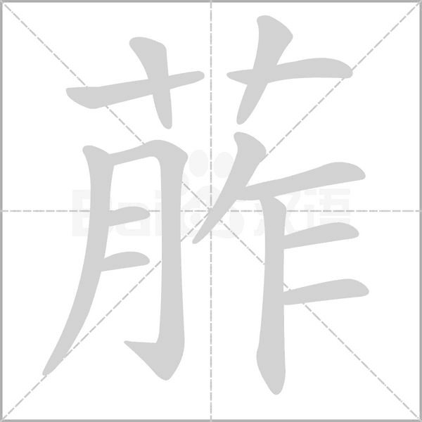 葄字动态笔顺演示