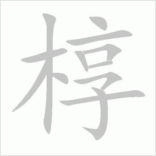 椁字动态笔顺演示