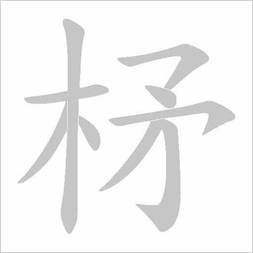 柕字动态笔顺演示