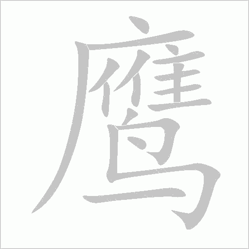 鹰字动态笔顺演示