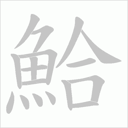 鮯字动态笔顺演示