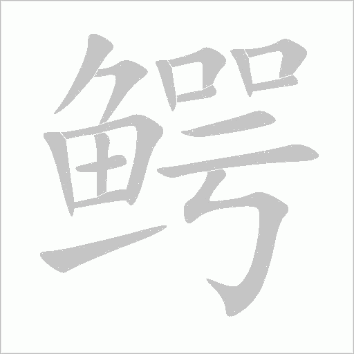 鳄字动态笔顺演示