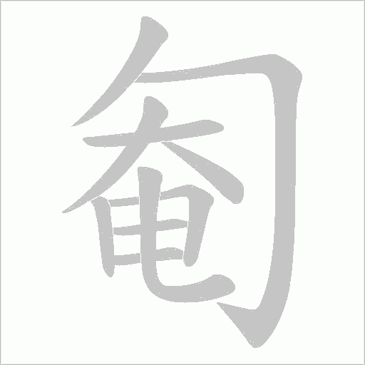 匎字动态笔顺演示