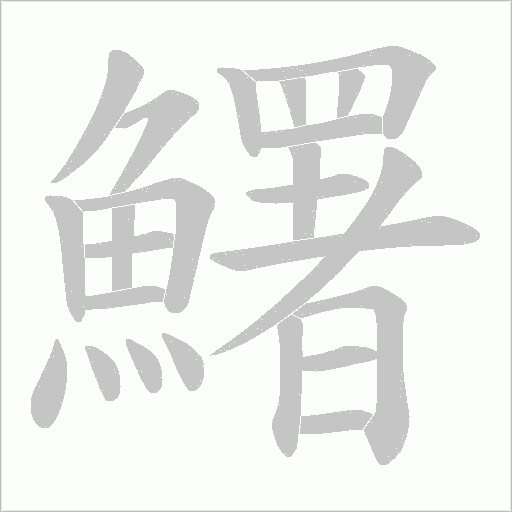 鱰字动态笔顺演示
