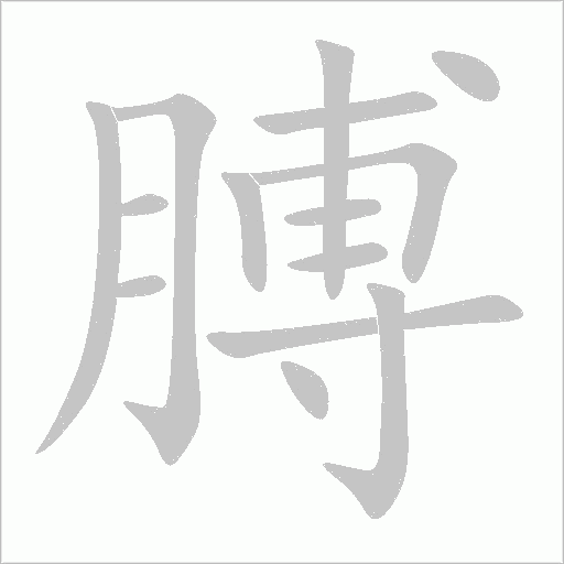 膊字动态笔顺演示