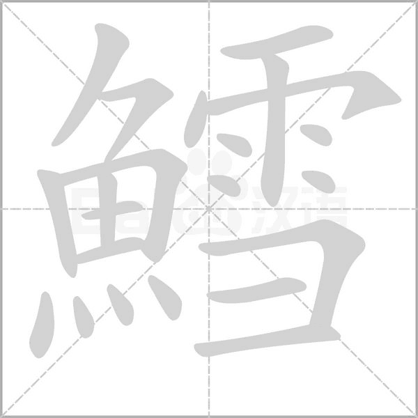 鱈字动态笔顺演示