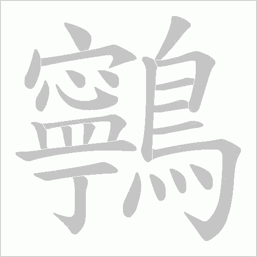 鸋字动态笔顺演示