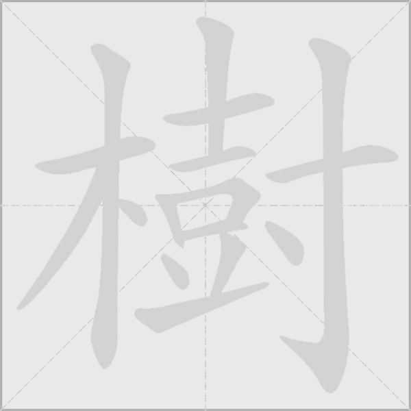 樹字动态笔顺演示