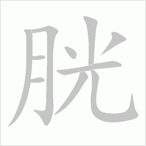胱字动态笔顺演示