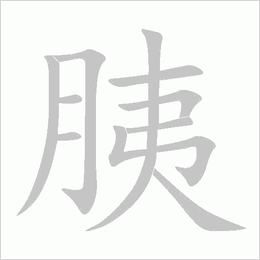 胰字动态笔顺演示