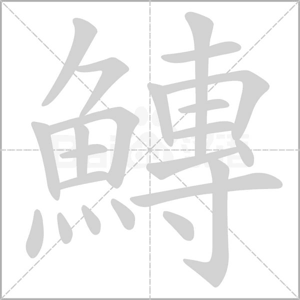 鱄字动态笔顺演示