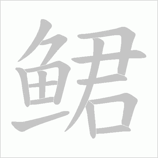 鲪字动态笔顺演示