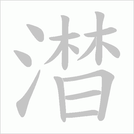 澘字动态笔顺演示