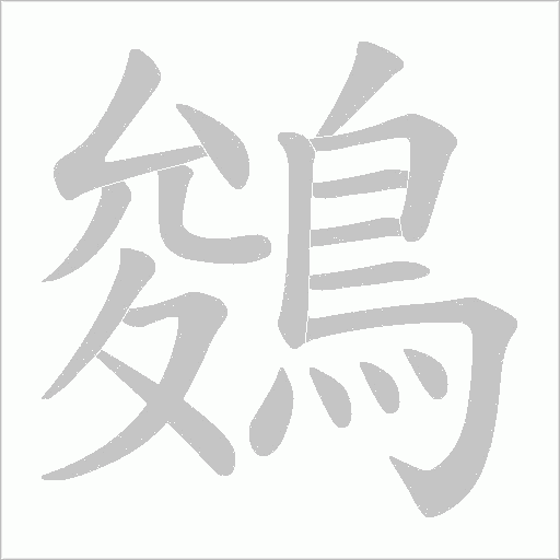 鵕字动态笔顺演示