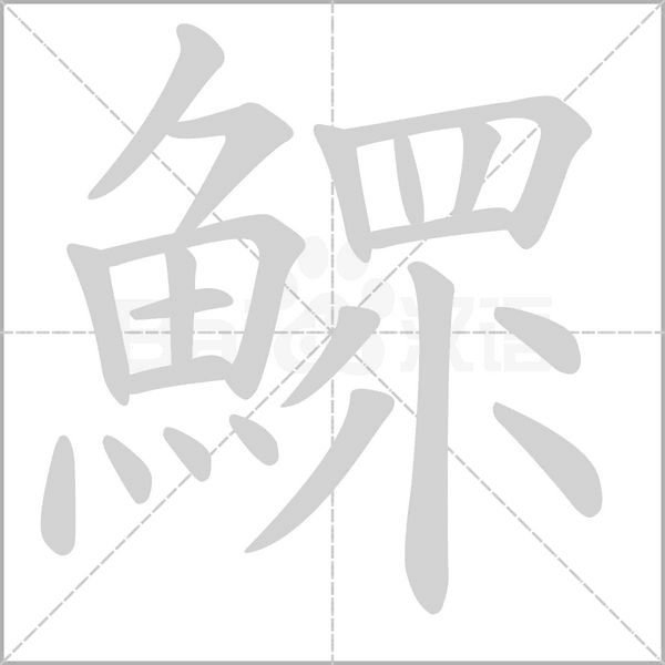 鰥字动态笔顺演示