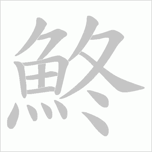 鮗字动态笔顺演示