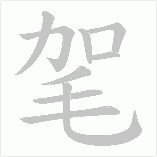 毠字动态笔顺演示